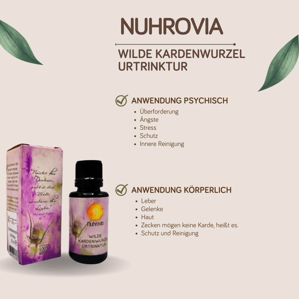 Bild von Kardenwurzel Urtrinktur 20ml